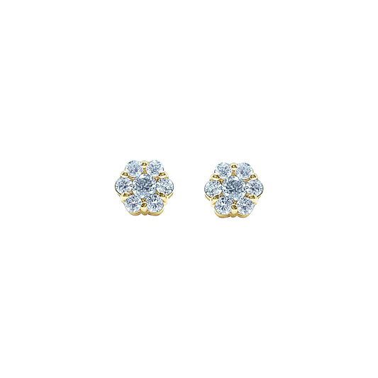 Diamond Earrings